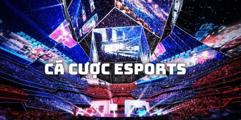Cá Cược E-Sports Tại B52club